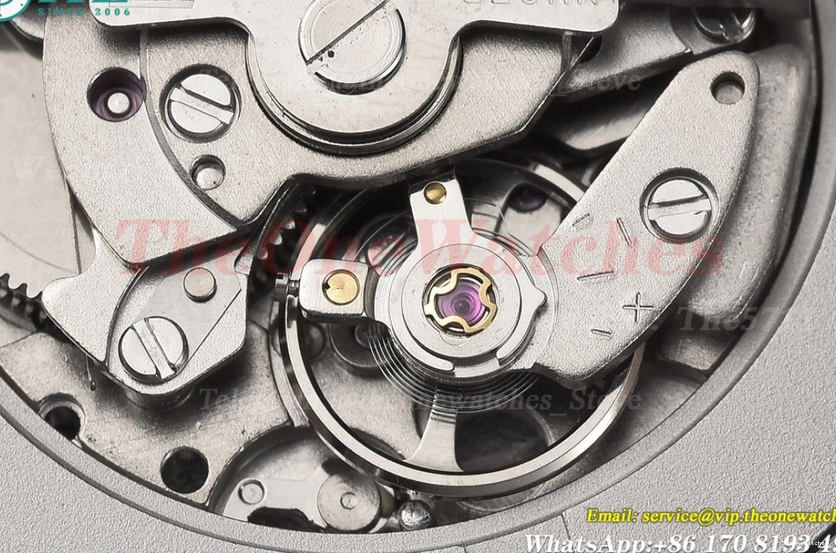 NH05 SS 33mm Dial GDF Bleu Ballon SS Red De Cartier 1207